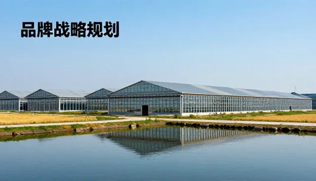 如何提升会议沟通效率?常见问题与解决方法